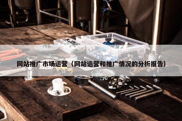 网站推广市场运营（网站运营和推广情况的分析报告）-第1张图片-冷动云