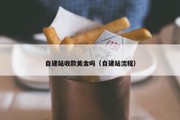 自建站收款美金吗（自建站流程）-第1张图片-冷动云