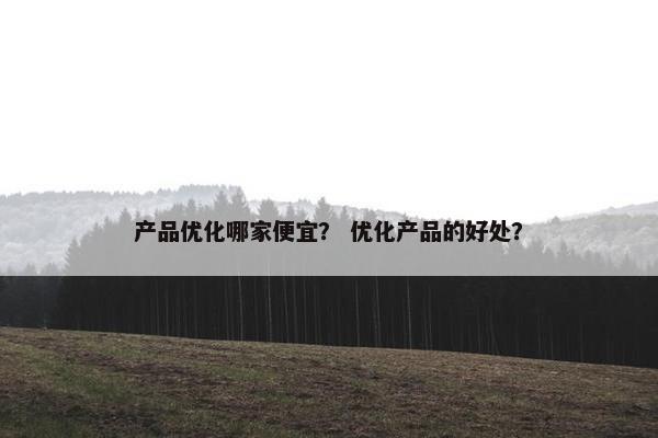 产品优化哪家便宜？ 优化产品的好处？-第1张图片-冷动云