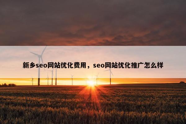 新乡seo网站优化费用，seo网站优化推广怎么样-第1张图片-冷动云