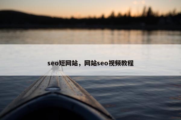 seo短网站，网站seo视频教程-第1张图片-冷动云