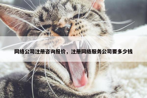 网络公司注册咨询报价，注册网络服务公司要多少钱-第1张图片-冷动云