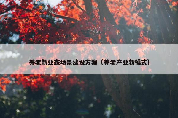 养老新业态场景建设方案（养老产业新模式）-第1张图片-冷动云