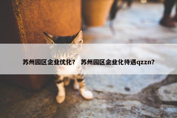 苏州园区企业优化？ 苏州园区企业化待遇qzzn？-第1张图片-冷动云