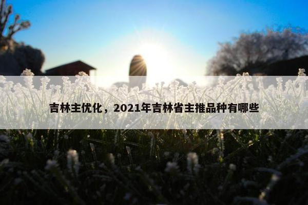 吉林主优化，2021年吉林省主推品种有哪些-第1张图片-冷动云