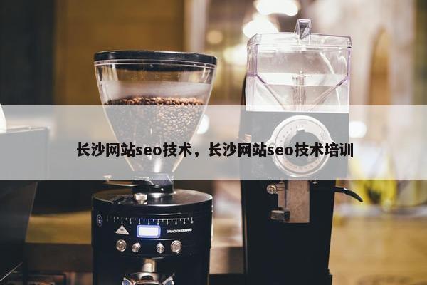 长沙网站seo技术，长沙网站seo技术培训-第1张图片-冷动云