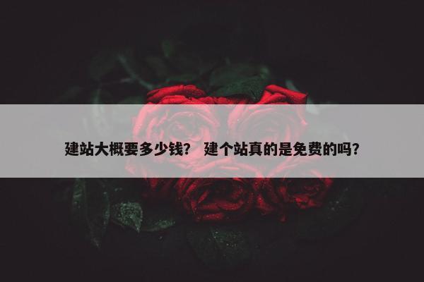 建站大概要多少钱？ 建个站真的是免费的吗？-第1张图片-冷动云