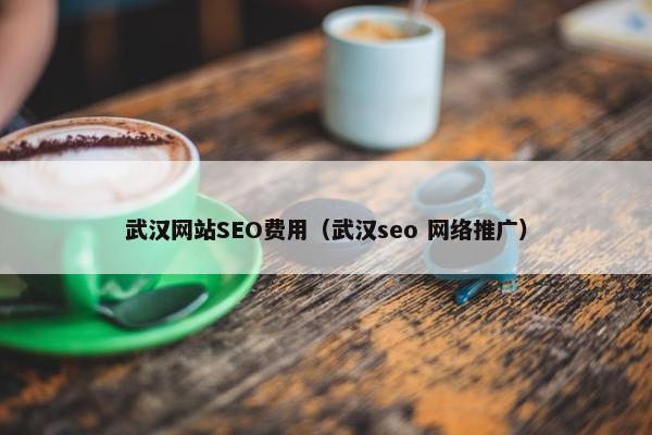 武汉网站SEO费用（武汉seo 网络推广）-第1张图片-冷动云