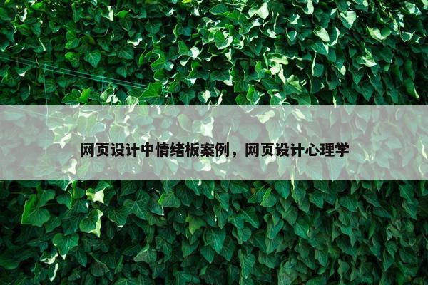 网页设计中情绪板案例，网页设计心理学-第1张图片-冷动云