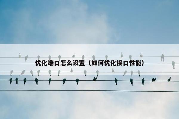 优化端口怎么设置（如何优化接口性能）-第1张图片-冷动云