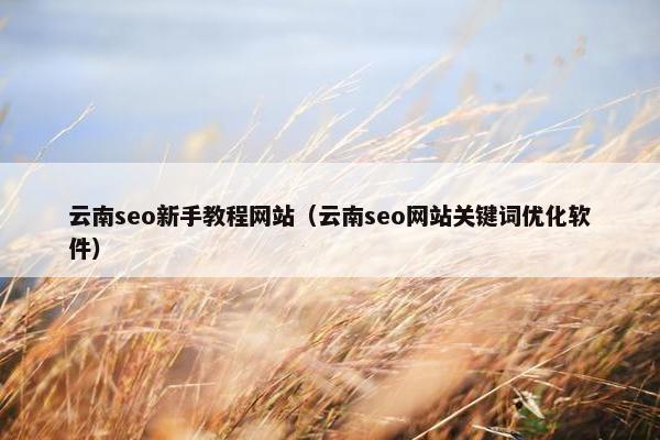云南seo新手教程网站（云南seo网站关键词优化软件）-第1张图片-冷动云
