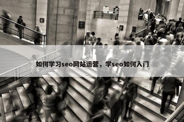 如何学习seo网站运营，学seo如何入门-第1张图片-冷动云