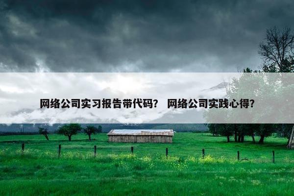 网络公司实习报告带代码？ 网络公司实践心得？-第1张图片-冷动云