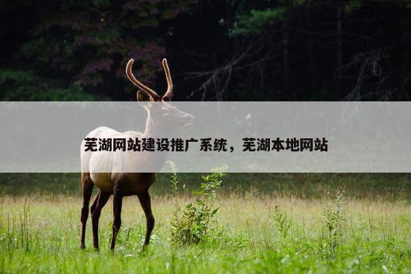 芜湖网站建设推广系统，芜湖本地网站-第1张图片-冷动云
