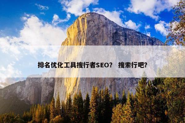 排名优化工具搜行者SEO？ 搜索行吧？-第1张图片-冷动云