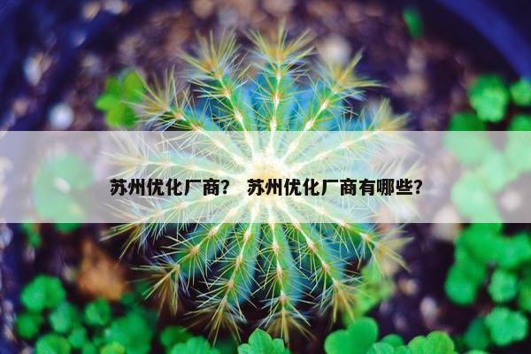 苏州优化厂商？ 苏州优化厂商有哪些？-第1张图片-冷动云