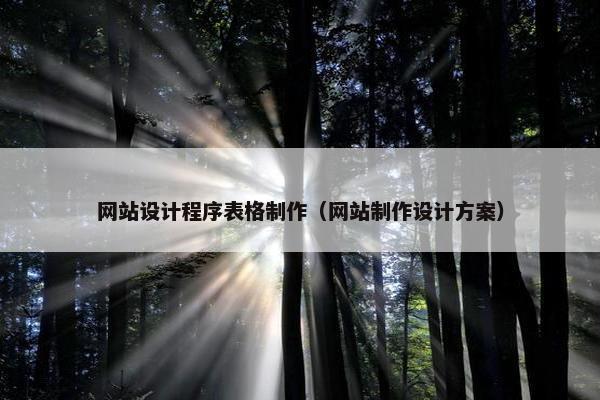 网站设计程序表格制作（网站制作设计方案）-第1张图片-冷动云