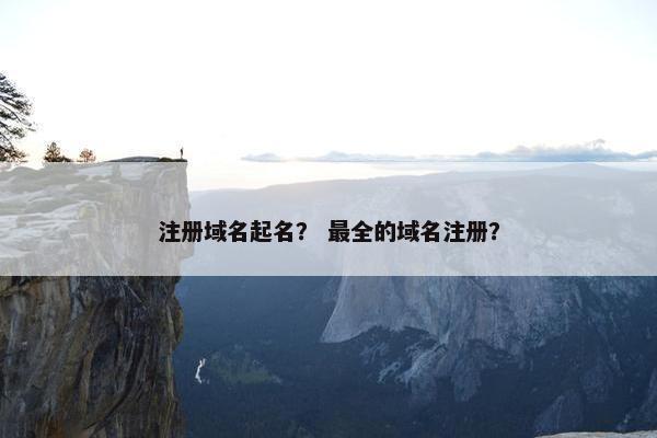 注册域名起名？ 最全的域名注册？-第1张图片-冷动云