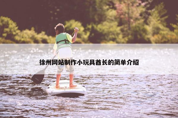 徐州网站制作小玩具酋长的简单介绍-第1张图片-冷动云