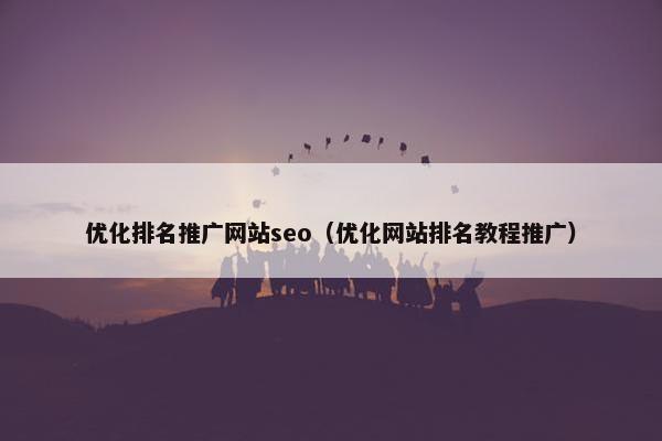 优化排名推广网站seo（优化网站排名教程推广）-第1张图片-冷动云