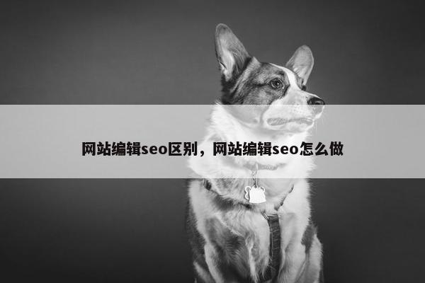 网站编辑seo区别，网站编辑seo怎么做-第1张图片-冷动云