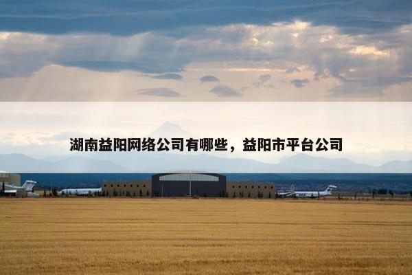 湖南益阳网络公司有哪些，益阳市平台公司-第1张图片-冷动云
