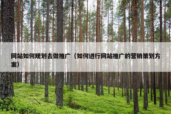 网站如何规划去做推广（如何进行网站推广的营销策划方案）-第1张图片-冷动云