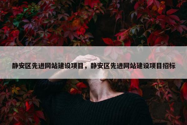 静安区先进网站建设项目，静安区先进网站建设项目招标-第1张图片-冷动云