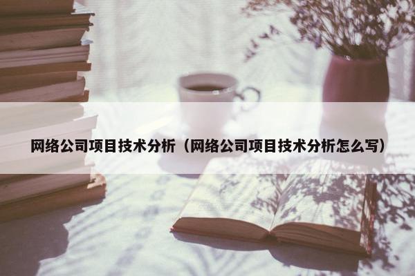 网络公司项目技术分析（网络公司项目技术分析怎么写）-第1张图片-冷动云