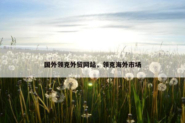 国外领克外贸网站，领克海外市场-第1张图片-冷动云