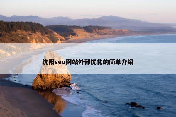 沈阳seo网站外部优化的简单介绍-第1张图片-冷动云