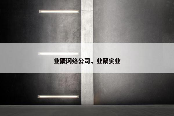 业聚网络公司，业聚实业-第1张图片-冷动云