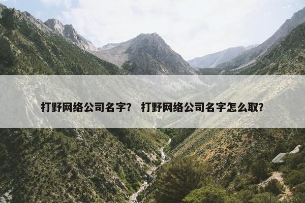 打野网络公司名字？ 打野网络公司名字怎么取？-第1张图片-冷动云