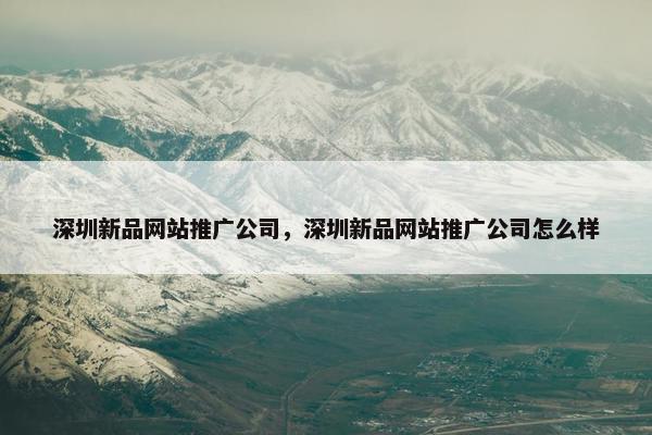 深圳新品网站推广公司，深圳新品网站推广公司怎么样-第1张图片-冷动云