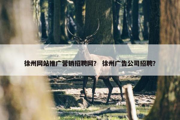 徐州网站推广营销招聘网？ 徐州广告公司招聘？-第1张图片-冷动云