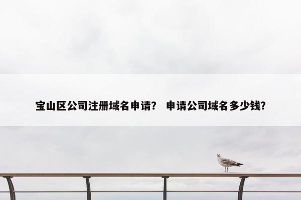 宝山区公司注册域名申请？ 申请公司域名多少钱？-第1张图片-冷动云