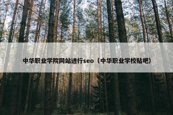 中华职业学院网站进行seo（中华职业学校贴吧）-第1张图片-冷动云