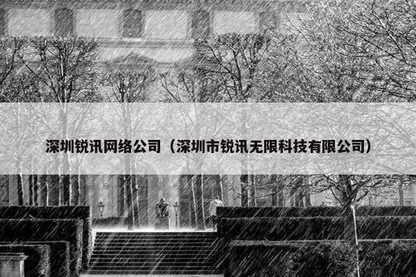 深圳锐讯网络公司（深圳市锐讯无限科技有限公司）-第1张图片-冷动云