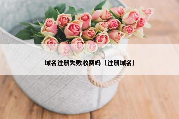 域名注册失败收费吗（注册域名）-第1张图片-冷动云