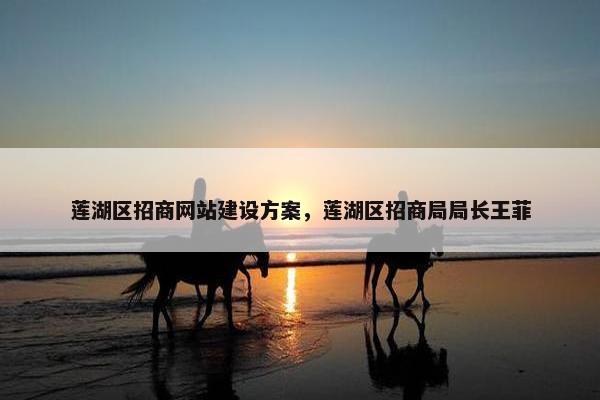 莲湖区招商网站建设方案，莲湖区招商局局长王菲-第1张图片-冷动云