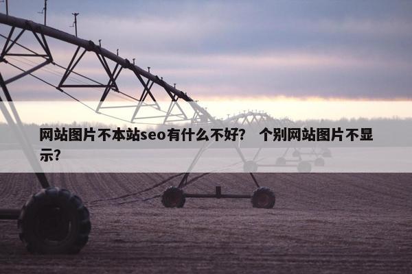 网站图片不本站seo有什么不好？ 个别网站图片不显示？-第1张图片-冷动云
