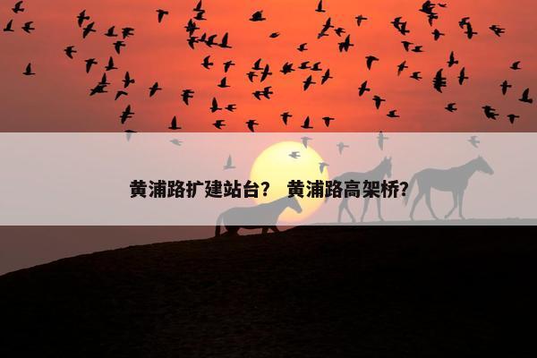 黄浦路扩建站台？ 黄浦路高架桥？-第1张图片-冷动云