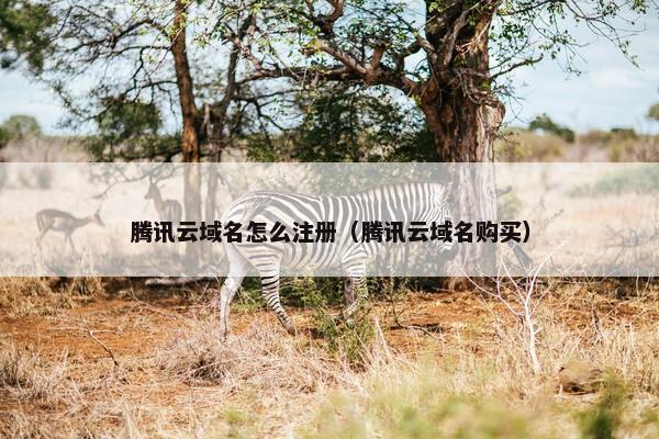 腾讯云域名怎么注册（腾讯云域名购买）-第1张图片-冷动云