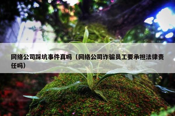 网络公司踩坑事件真吗（网络公司诈骗员工要承担法律责任吗）-第1张图片-冷动云