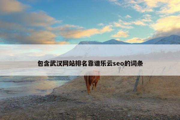 包含武汉网站排名靠谱乐云seo的词条-第1张图片-冷动云