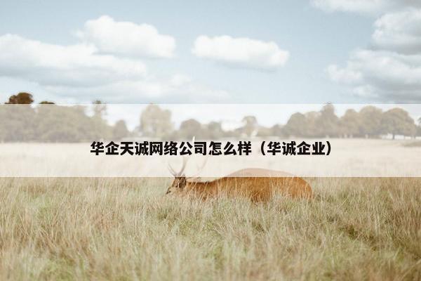 华企天诚网络公司怎么样（华诚企业）-第1张图片-冷动云