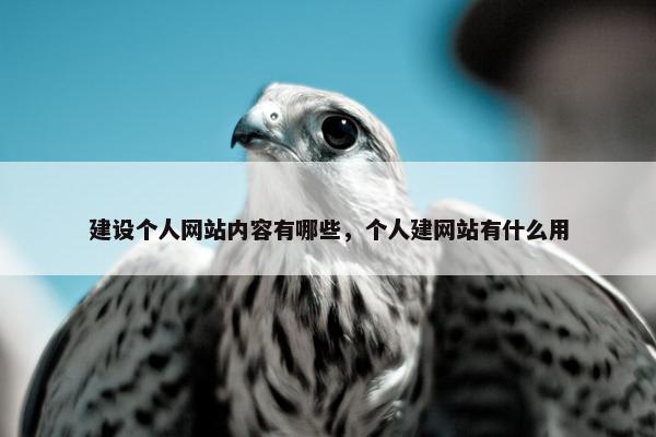 建设个人网站内容有哪些，个人建网站有什么用-第1张图片-冷动云