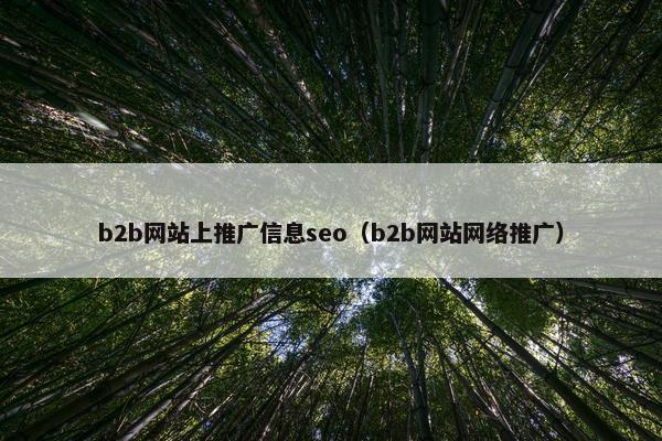 b2b网站上推广信息seo（b2b网站网络推广）-第1张图片-冷动云