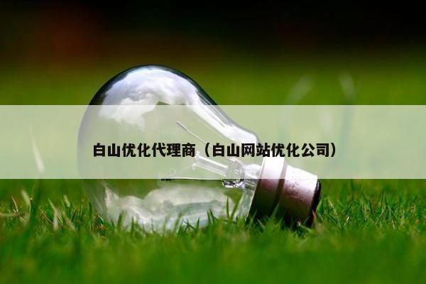 白山优化代理商（白山网站优化公司）-第1张图片-冷动云