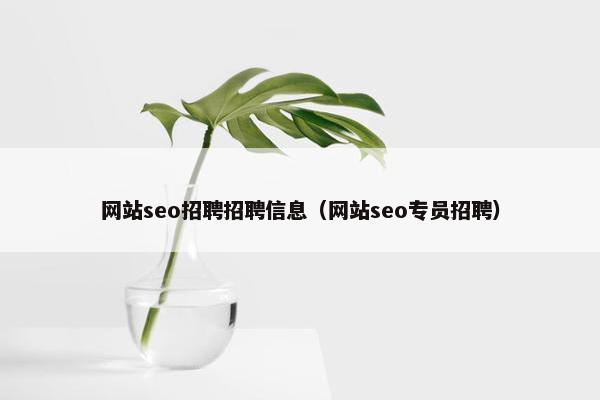 网站seo招聘招聘信息（网站seo专员招聘）-第1张图片-冷动云
